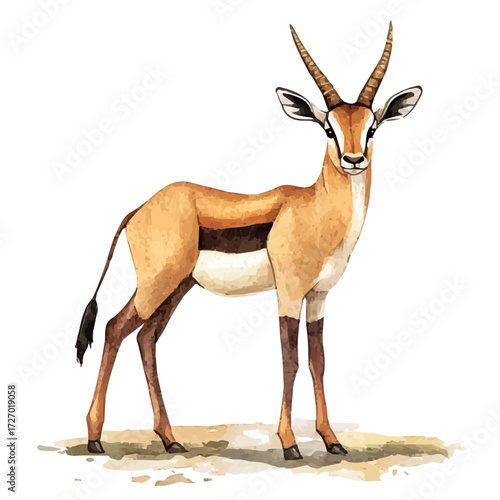 Antelope, watercolor clipart vector, isolated on a white background.