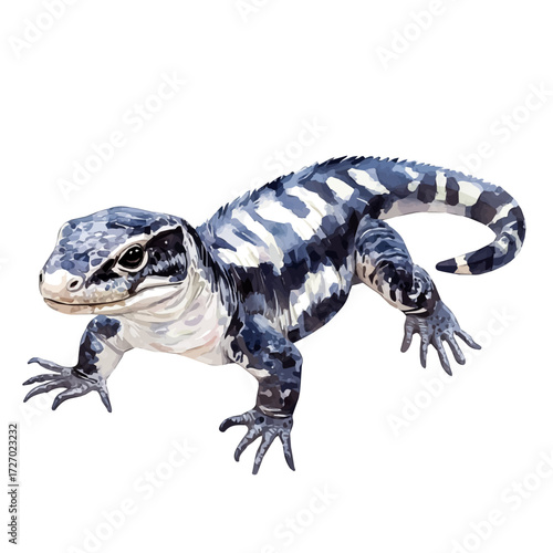 Argentine Black And White Tegu, watercolor painting vector, isolated on a white background.
