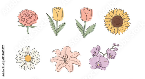 A collection of colorful illustrated flowers, including rose, tulip, sunflower, daisy, lily, and orchid Vector illustration