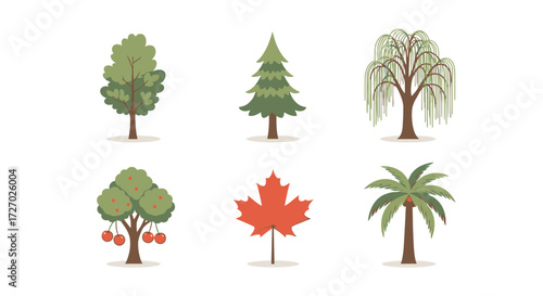 A collection of diverse trees with their various shapes and foliage. A red maple leaf and a palm tree also stand among them Vector illustration