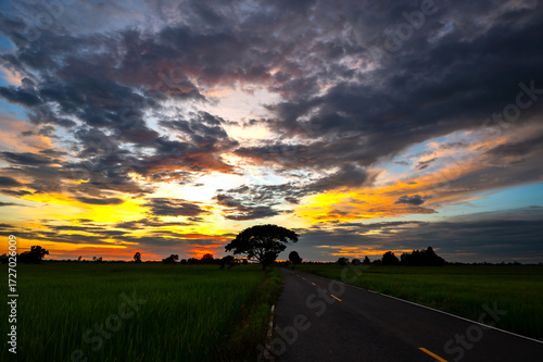 Panorama Silhouette tree with sunset.Tree silhouetted against a setting sun.Beautiful clouds,Sunlight with dramatic sky,Thailand,Asia.Photo landscape open green field dramatic sunrise.