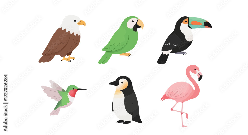 Obraz premium A diverse collection of six vibrant birds, each with unique features and colors, showcasing the beauty of avian life. These colorful birds stand out against their surroundings Vector illustration