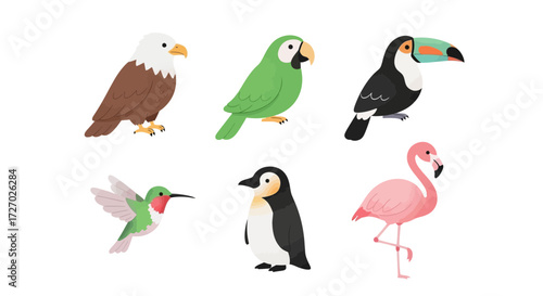 A diverse collection of six vibrant birds, each with unique features and colors, showcasing the beauty of avian life. These colorful birds stand out against their surroundings Vector illustration