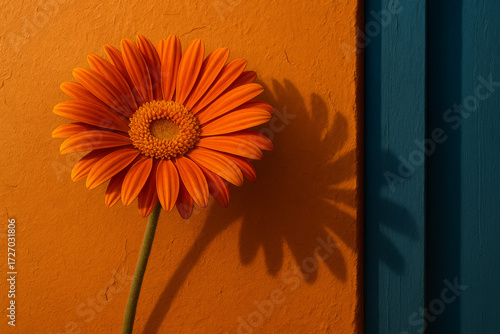 orange flower on wooden background