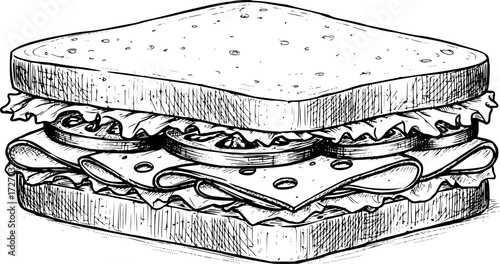 Detailed hand drawn illustration of sandwich
