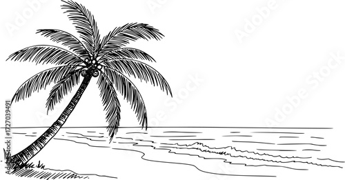 Coastline vector sketch hand drawn line art in nature, palm tree on tropical beach style
