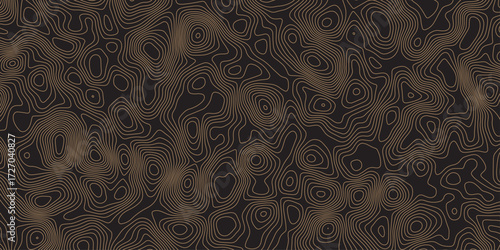 Seamless antique damask floral pattern with vintage black and white decorative ornament