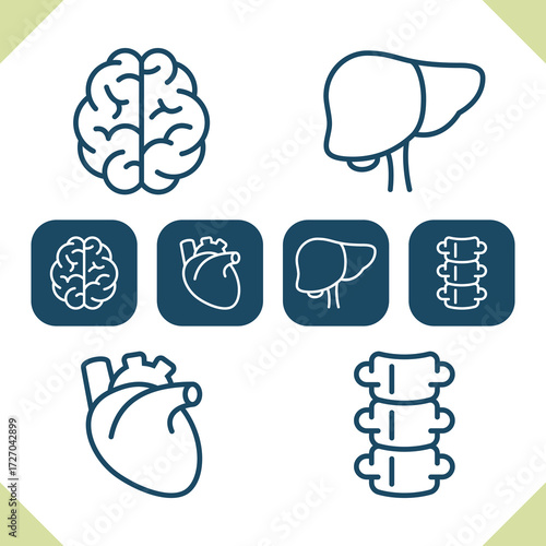 Internal Organs Icons