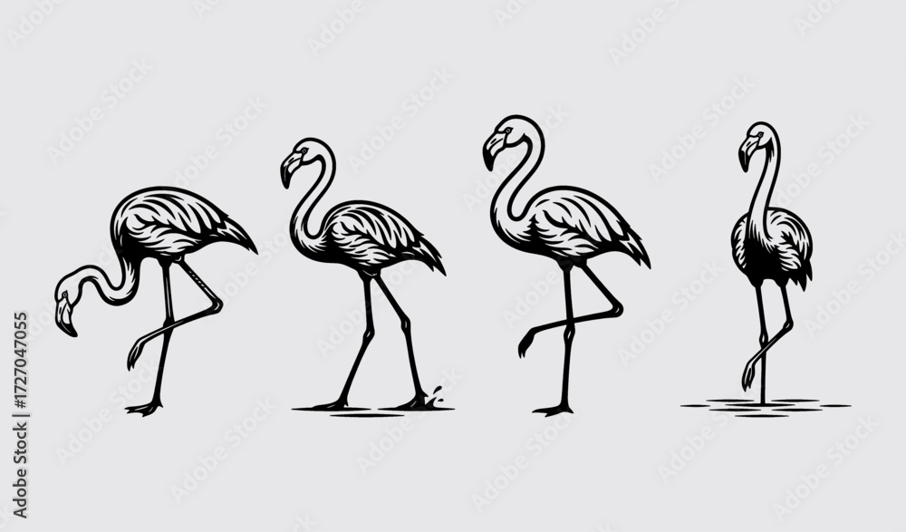 Obraz premium flamingo.eps