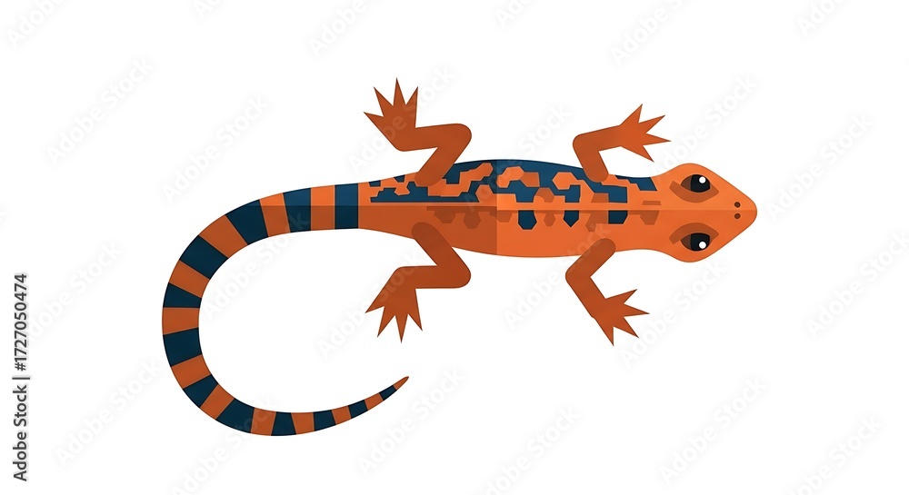 Obraz premium Red Salamander.