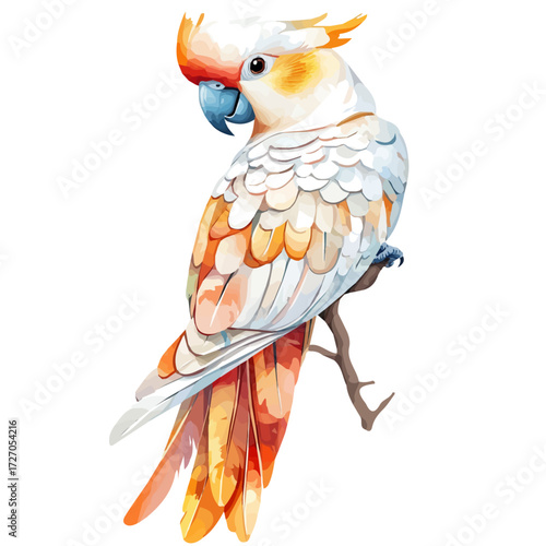 watercolor vector of Cockatoo, isolated on a white background.