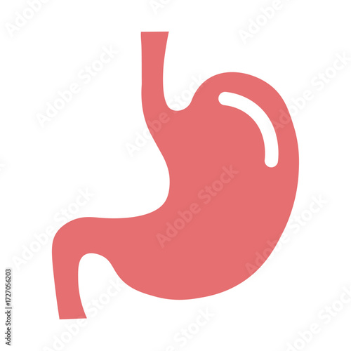 Human Stomach icon. Internal organ, human gastrointestinal tract. Stomach pain and heartburn symbol. Digestive disease. Gastritis and acid reflux concept. Color Vector illustration isolated on white.