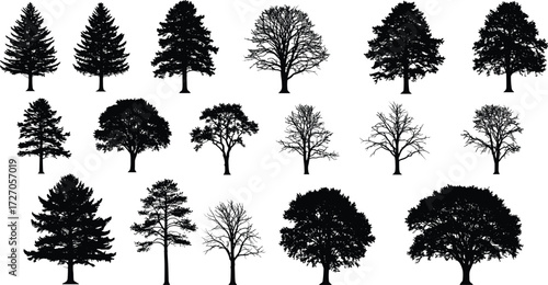 Black Silhouette Icons of Diverse Tree Shapes for Seasonal, Botanical, Landscape, and Nature-Themed Vector Design, Illustration, and Educational Projects