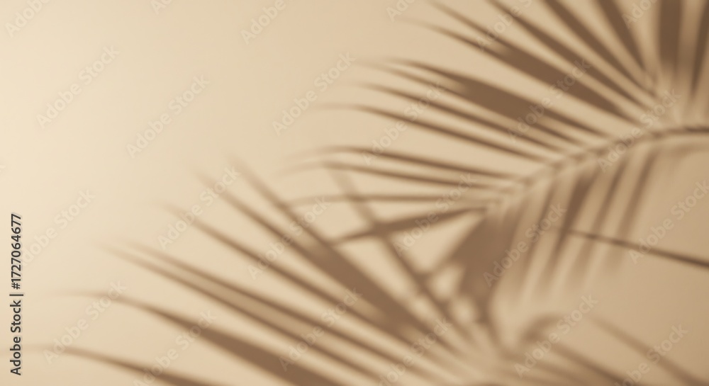 Fototapeta premium Palm leaf shadow on wall