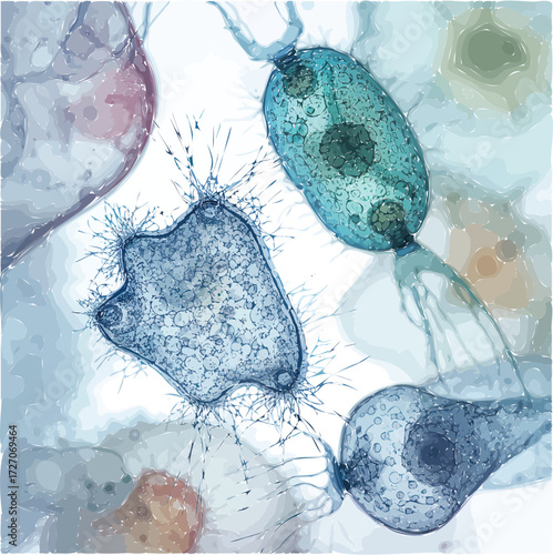 Artistic watercolor illustration of various single-celled protozoa organisms, a scientific microscopic view of amoebas and paramecia