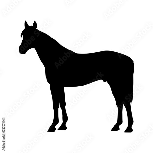 Horse Vector Black Silhouette Icon with Sharp Line Artwork