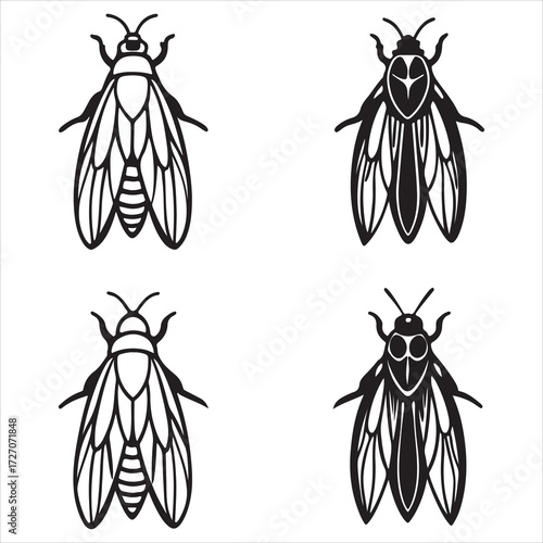 A Small Jumping Leafhopper Insect, a Wedge Shaped Cicadellidae Plant Pest with a Powerful Vector Ability to Damage Crops as a Sap Feeder