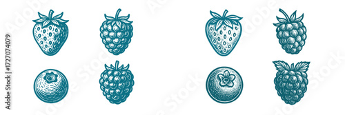 Assorted berry illustrations featuring strawberries, blueberries, raspberries, and blackberries in a detailed design