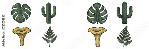 Botanical illustrations featuring various plants and ferns in a detailed, vintage style