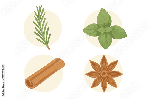 Herbs and spices collection with rosemary, basil, cinnamon, and star anise in a simple design
