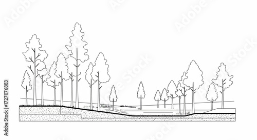 Detailed botanical illustration of a wetland area showcasing trees and landscape