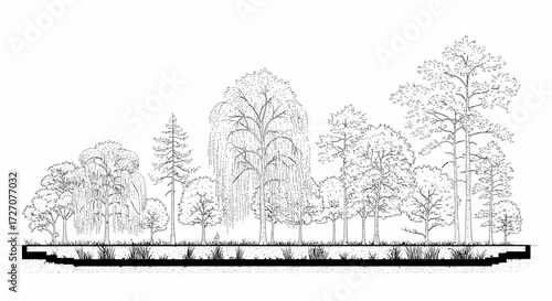 Detailed monochrome illustration showcasing a diverse range of tree species