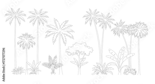 Elegant outline illustration showcases diverse tropical vegetation and exotic trees