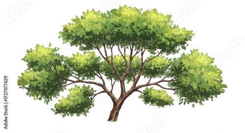 Illustration of a tree with green leaves and branches on a white background
