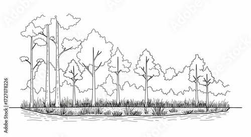 Monochrome drawing showcasing a dense forest edge with tall trees and lush vegetation
