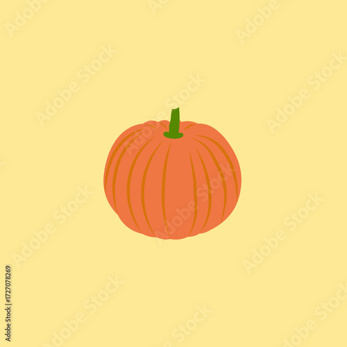 pumpkin on a white background