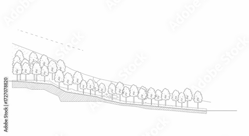 Technical drawing of landscape architecture, site section design with trees