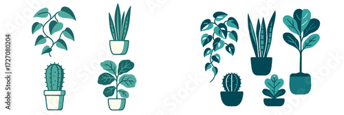 Variety of houseplants in decorative pots showcasing diverse shapes and colors indoors