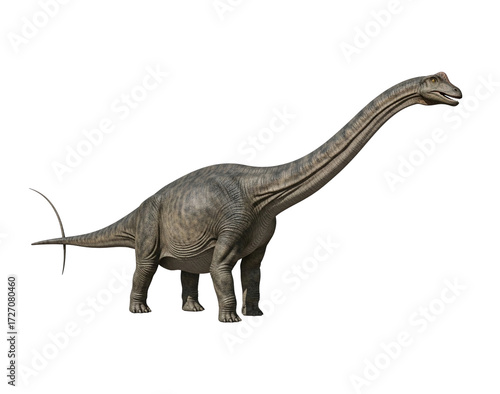 Realistic Diplodocus Transparent Background