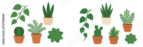 Various indoor plants arranged in decorative pots showcasing unique shapes and colors in a bright setting