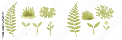 Various green plant illustrations featuring ferns, grasses, and small flowers in soft watercolor style