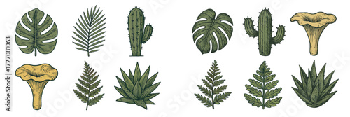 Botanical illustration showcasing various plants including cacti, ferns, and tropical leaves in detailed line art style