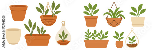 Indoor plants displayed in various pots and hanging planters, showcasing a modern home decor style