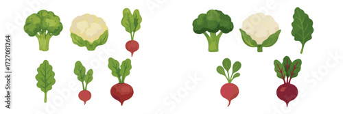 Fresh vegetables displayed in a colorful arrangement on a white background, showcasing variety and health