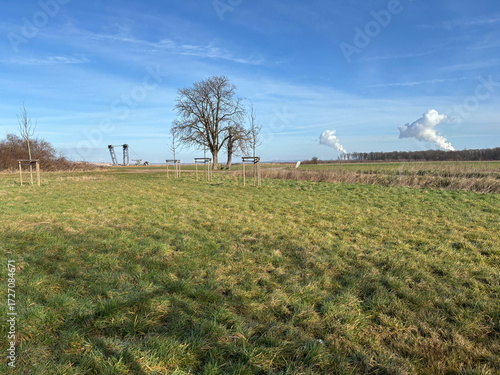 Meadow with two chestnut trees and an RWE lignite excavator in the background, on the edge of the Hambach open-pit mine. Near Bürgewald (formerly Morschenich), Germany, Europe, on February 25, 2025.