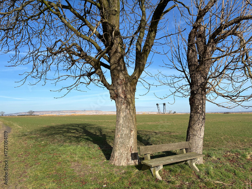 RWE lignite excavator on the edge of the Hambach open-pit mine. View through two chestnut trees. Near Bürgewald (formerly Morschenich), Germany, Europe, on February 25, 2025