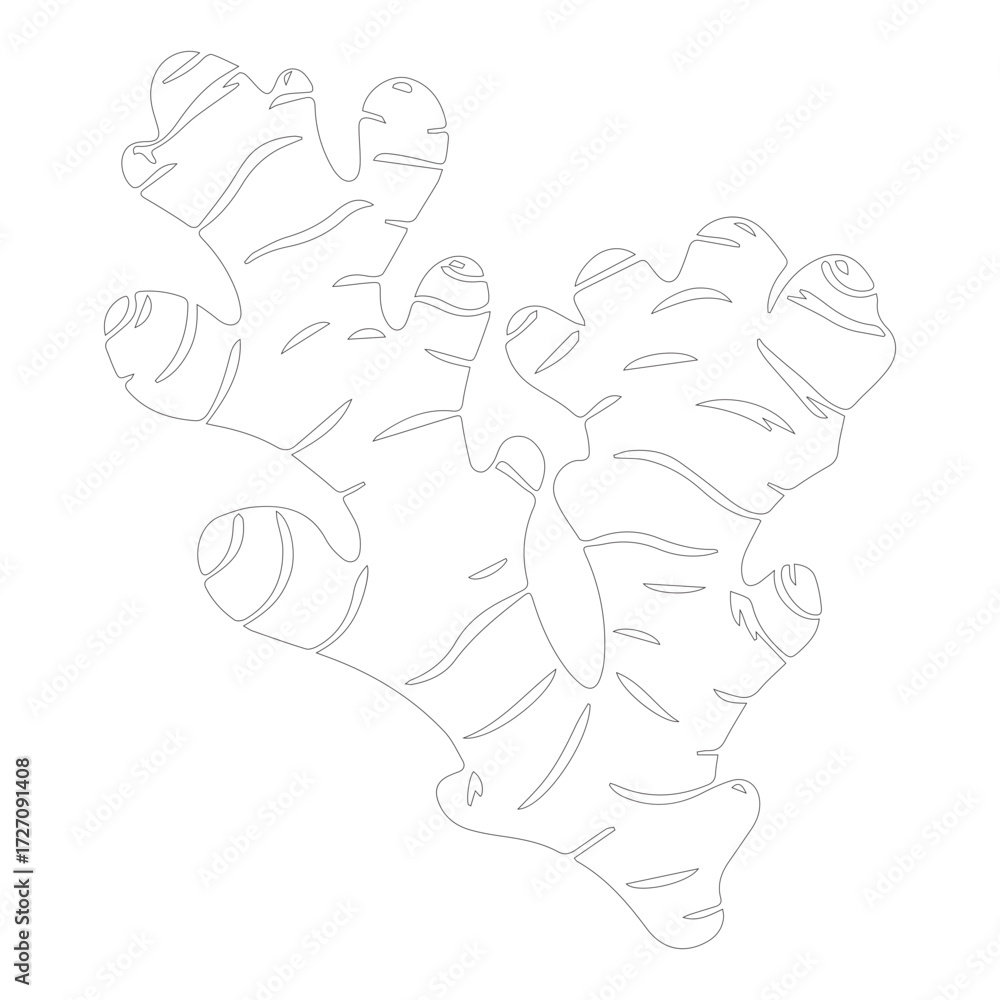 Fototapeta premium ginger