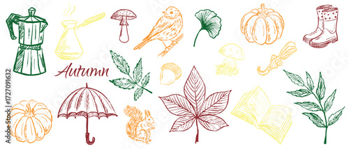 Set of cozy autumn symbols coffee, book, bird, falling leaves, rubber boots, mushrooms, pumpkin in black brush stroke texture on white. Hand drawn vector sketch illustration in vintage charcoal ink