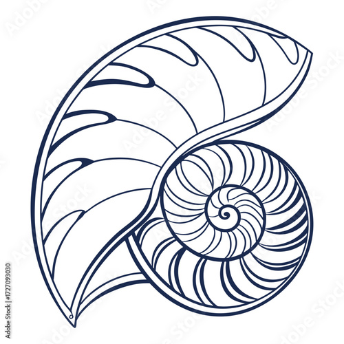 Elegant navy blue line art illustration of a nautilus shell spiral showcasing intricate geometric patterns and natural symmetry on a clean white background