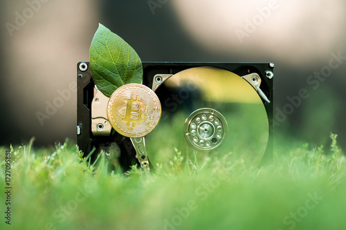 Hard disk drive with a bitcoin and a chia leaf on the grass