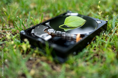 Hard disk drive with a chia leaf on the grass