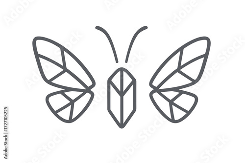 Detailed geometric butterfly design showcasing intricate patterns and symmetry for artistic inspiration