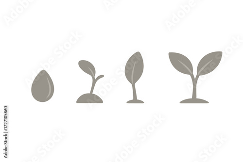 Growth stages of a plant from seed to sprout in a simple, clear visual representation