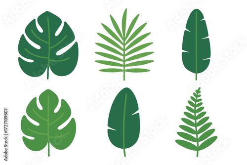 Stylish collection of green leaves showcasing diverse shapes and textures for design inspiration
