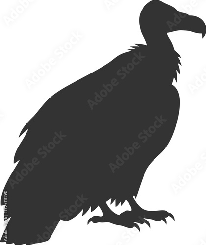 Vulture bird animal vector silhouette