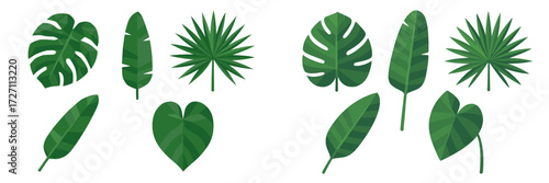 Variety of green tropical leaves arranged in a decorative pattern against a white background